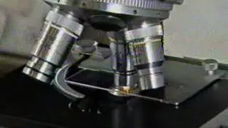 Microbiology Laboratory techniques
