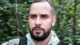 medicina da floresta ,  plantas medicinais na mata atlântica snh. João Carlos nos ensina