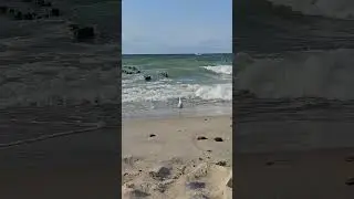 Шум Балтийского моря #russia #naturesounds