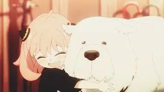 [Mad/Amv] Spy×Family -Mixed nuts (ミックスナッツ)