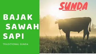 bajak sawah sunda dengan sapi