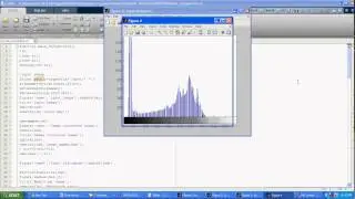 Dorsal hand vein pattern feature extraction with wavelet transforms