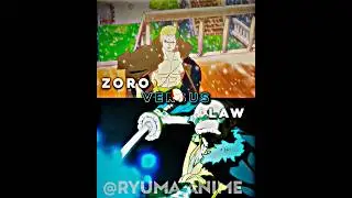 Zoro vs Law