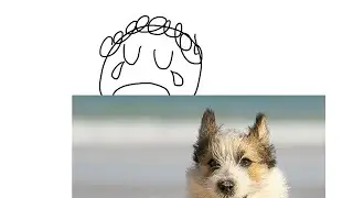 sad video :(