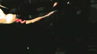 King Tiger Muay Thai