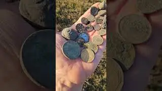 Прекрасная погода для копа 