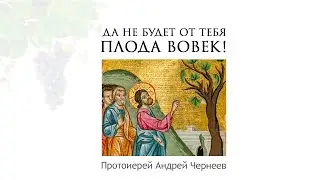 Да не будет от тебя плода вовек!  | Протоиерей Андрей Чернеев