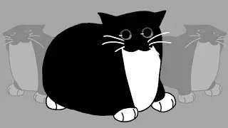 Maxwell Cat - танцует
