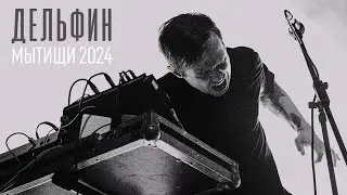 Дельфин.  Мытищи. 2024