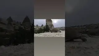 Черепаха в Каппадокии