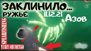 ЗАКЛИНИЛО РУЖЬЕ  АЗОВ2021 охота на РЫБКУ
