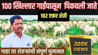 || 100 खिल्लार गायपासून ऑरगॅनिक पद्धतीने पिकवतो !! 102 एकर जमिन ||हिवरवाडी कुकुडवाड