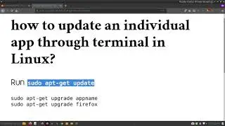 How to update an individual app through terminal in Linux