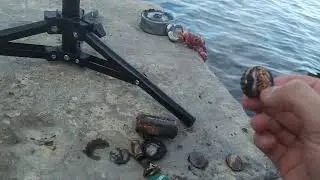 Поисковый магнит#10 Волга вновь удивила