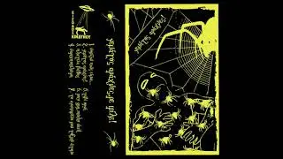 Γεμάτος Αράχνες, Ρε Φίλε! - Γεμάτος Αράχνες!