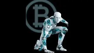 100000RUB обзор Apitrade  Апитрейд серви с автоматической торговли криптовалютами