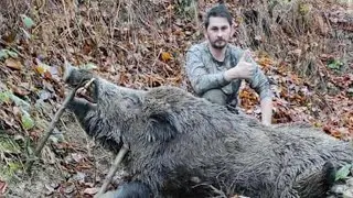 2021 SÜPER DOMUZ AVLARI/Chasse au cochon géant /WILD BOAR HUNTING/hunter/Hunt/turkey/attacking pig
