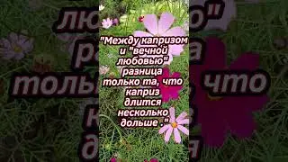 Портрет Дориана Грея / Оскар Уайльд #цитаты #книги #чтение #портретдорианагрея #shorts