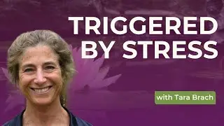 Learning to Respond Not React, with Tara Brach