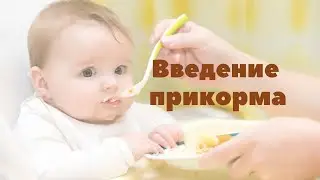 Правила введение прикорма | Грудное вскармливание | 