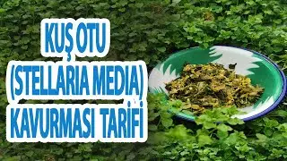Kuş Otu Kavurması Tarifi (Yumurtalı) | Latmos Mutfak - Yemek Tarifleri