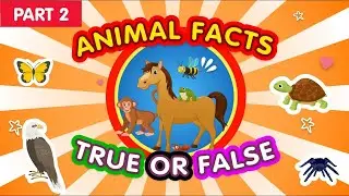 Animal Facts Quiz: True or False!