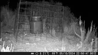 Cazadores que miman las especies 1