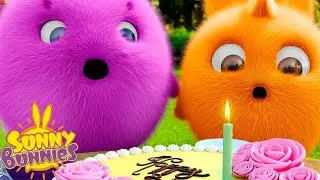 Make a Wish | Sunny Bunnies | Cartoons for Kids | WildBrain Blast