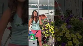 Fertilizer is the key to great looking containers and basket!