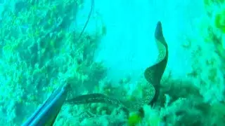 Pescasub: Trasferta ad Ovest