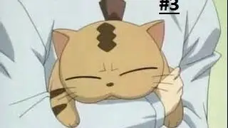 Let's play Yugioh gx the beginning of destiny part 3 kitty