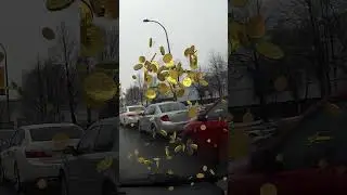 Opinion - Speed Limits 