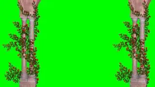 Flying Red Cloth on Green Screen | Red Dupatta Animation green screen effect video
