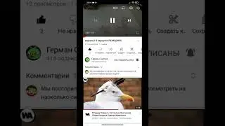Там нет такого