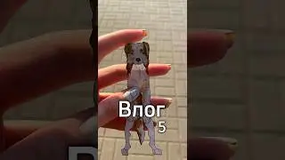 ВЛОГ🐇5 (Pupl dog)