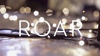 Katy Perry - Roar (Time for Heroes cover)
