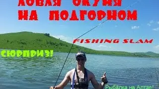 Ловля окуня на озере Подгорное. Рыбалка на Алтае!