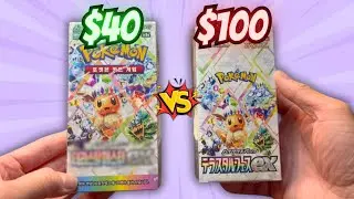 I Found Terastal Festival For $40... But There's A Catch!