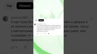 Как нечайнно не выйти с попугаем на улицу и не прихлопнуть птицу дверью 