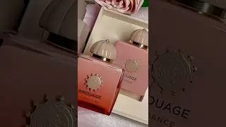 Amouage Guidance 46 is unbelievably complex and #demure  ❤️ #amouage