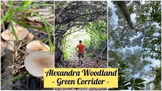 Alexandra Woodland along Green Corridor