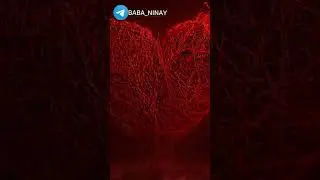 ИЗБАВЬСЯ от хвори | Тик Ток | Магия Жизни 