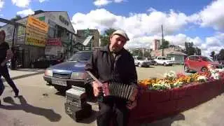 Маленькая гармонь Голубева С.Е.