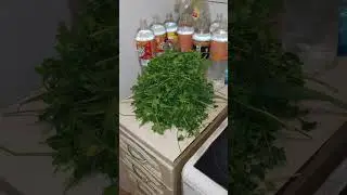 трава дома