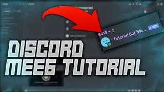 Discord tutorial MEE6 Einrichten [german/deutsch]
