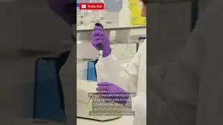 Do You Know About Stem Cells? Discover Their Potential! 🤔🌟