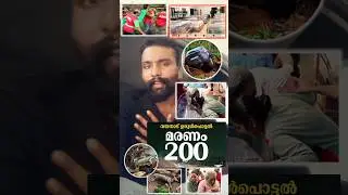 വയനാട്ടിൽ മരണ സംഖ്യ കൂടുന്നു | നമുക്കും സഹായിക്കാം | #wayanad #wather #slide #help #helping #pls