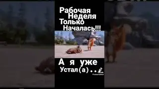 Рабочая неделя только началась а я уже устал