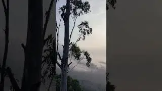 #morning