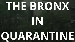 The Bronx in Quarantine